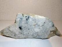 コレクション品❣️新入荷❣️天然A貨翡翠　原石刻み精巧なエゾシカ　鑑定書付き Amazon.co.jp: 黒白 740g 翡翠 原石 ヒスイ 鉱物 鑑賞石 糸魚川